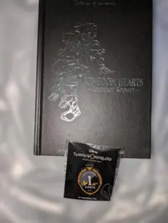 【未開封】ツイステ　1周年記念ピンバッジ　プラスおまけ　2点