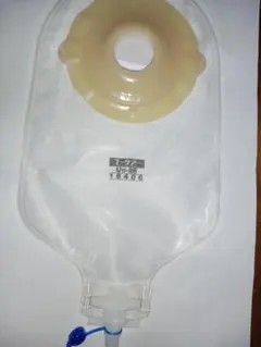 Item thumbnail for item 94b4cf35-16a6-4a22-ae81-b04e8972ecd4