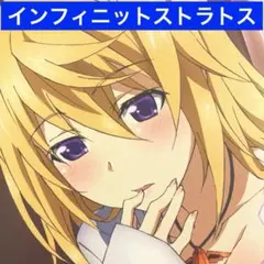 インフィニット・ストラトス キャラクターグッズ