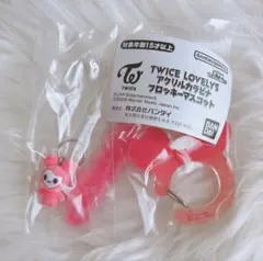 TWICE LOVELYS 壓克力掛繩 植絨吊飾 彩瑛