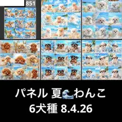 オーダーページ パネル 夏わんこ 6犬種 8.4.26