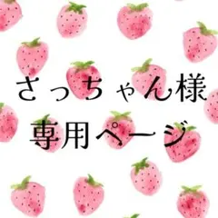 さっちゃん様専用