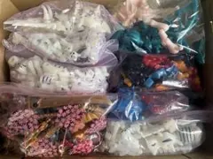 ほねほねザウルス　まとめ売り