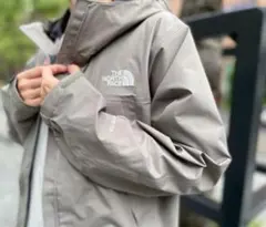☆希少カラーサイズ激レア!THE NORTH FACEクライムライトジャケット