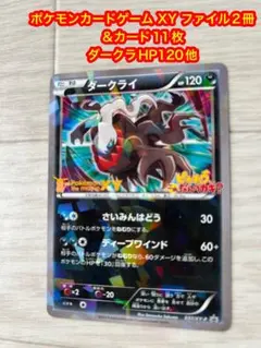 ポケモンカードゲーム XY ファイル2冊＆カード11枚 ダークラHP120他