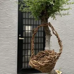 籠 つる籠 ハンドメイド 蔓手組み 自然素材 - メルカリ