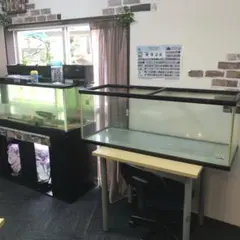 kotobukiガラス水槽 900×450×450水槽台セット バラ売り可 - メルカリ