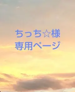 ちっち☆様専用ページ 6点セット
