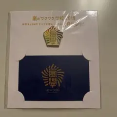 嵐 嵐のワクワク学校2019 ピンバッジ