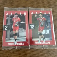 大野太志 高橋藍 トレーディングカードセット