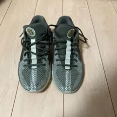 Nike Sabrina1 EP Dedication Nike