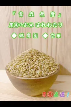 令和7年産 青森県産 はれわたり 玄米 30キロ - メルカリ