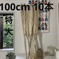 2025年最新】早生パンパスグラスの人気アイテム - メルカリ