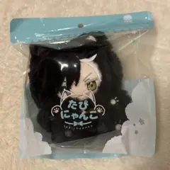 WIND BREAKER ウィンブレ　たぴにゃんこ ぬいぐるみ 桜遥