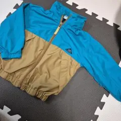 Item thumbnail for item 3c911f05-a6a4-4968-86bc-4f32c147e8fa