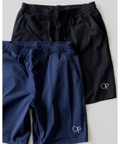 Item thumbnail for item cd5a651f-a4fe-4da0-b2bd-315a83b3c5cc