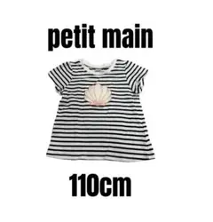 【プティマイン】半袖Tシャツ　接触冷感　貝殻　女の子　ボーダー柄　110