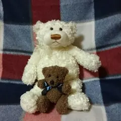 くまのぬいぐるみ ２個セット／クマ／GUND社