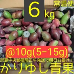 特価〉沖縄県産摘果/青/グリーンマンゴー@40g(25〜55g)約12kg常温① 特価〉沖縄県産摘果/青/グリーンマンゴー@40g(25〜55g)約12kg常温①