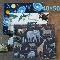 ランチョンマット3枚セット　男の子　給食　小学校　保育園　幼稚園