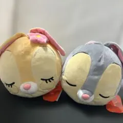 Item thumbnail for item e28c9c7c-12ff-4682-9b14-48e7789c1df4