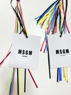 MSGMタグ　付属品　2点のサムネイル