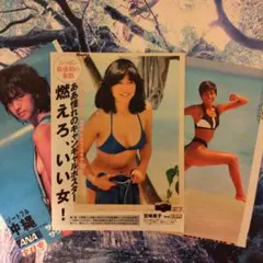 昭和レトロ 宮崎美子さん木製パネルポスター 昭和レトロ 宮崎美子さん木製パネルポスター 昭和レトロ 宮崎