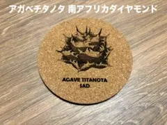 アガベチタノタ 南アフリカダイヤモンド コルクコースター