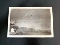 40年代 WW2 米軍 実物 ノーズアート 古写真 - メルカリ