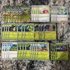 ポケモンカード　オーガポン　メガフシギバナ　デッキパーツ