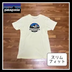 『パタゴニアスリムフィットＴシャツ』