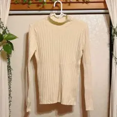 Item thumbnail for item bd67821d-cb2f-40db-a61f-b190f4964ebc