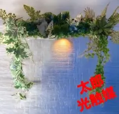 光触媒　人工観葉植物　ウォールグリーン　フェイクグリーン　胡蝶蘭7545 光触媒 人工観葉植物 ウォールグリーン フェイクグリーン 胡蝶蘭7545