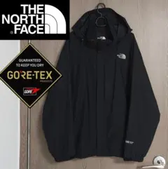 ノースフェイス ゴアテックス マウンテンパーカー