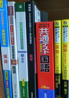共通テスト対策問題集 国語