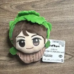 ハイキュー!!　ちびぐるみ　アニマルポンチョ vol.2及川徹