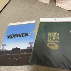 甲子園球場 100周年記念 クリアファイル 2장 세트