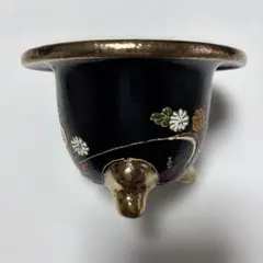 富貴蘭鉢のサムネイル