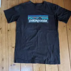 Patagonia パタゴニア 半袖 Tシャツ ブラックのサムネイル