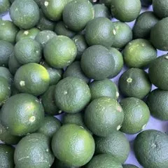 徳島県産 ハウスすだち　箱込み約1kg キズあり　B級品　訳あり　家庭用　35個のサムネイル