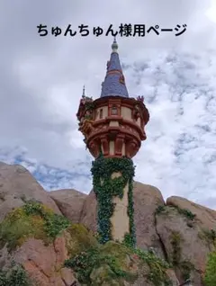 ちゅんちゅん様用ページ