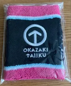 岡崎体育 リストバンド