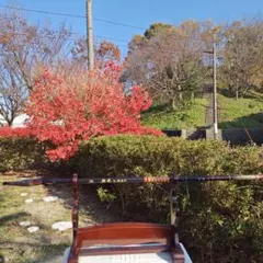 Item thumbnail for item bfae9af1-bd35-4a59-8ff7-864e15b83762