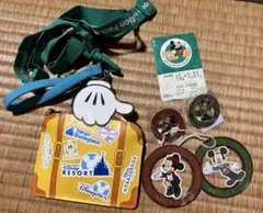 ✨非売品✨バケーションパッケージ、プレミアツアーバッジ