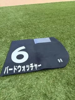 競馬 実使用ゼッケン バードウォッチャー 中山競馬場三浦皇成JRA