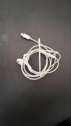 Lightningイヤフォン ホワイト