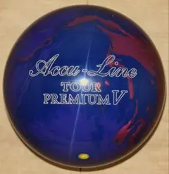 プラグ済み　ナノデスAccu-Line Tour Premium V