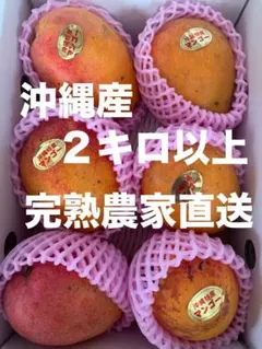 47現品発送！台風前セール沖縄県産マンゴー2.2kgクール代込☆ - メルカリ