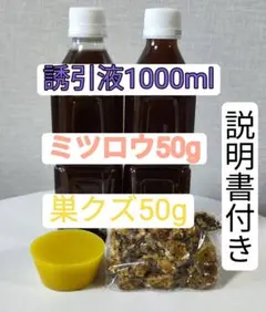 Item thumbnail for item 493fa6e3-727c-454f-9fc8-7cdf4e193ce1