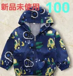 Item thumbnail for item f80d6419-6207-4dba-960c-a61923b158d5